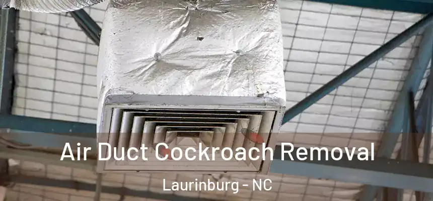 Air Duct Cockroach Removal Laurinburg - NC