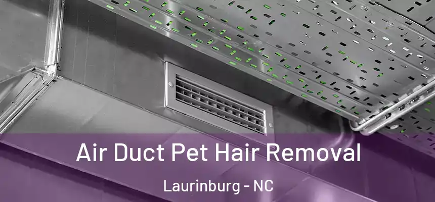 Air Duct Pet Hair Removal Laurinburg - NC