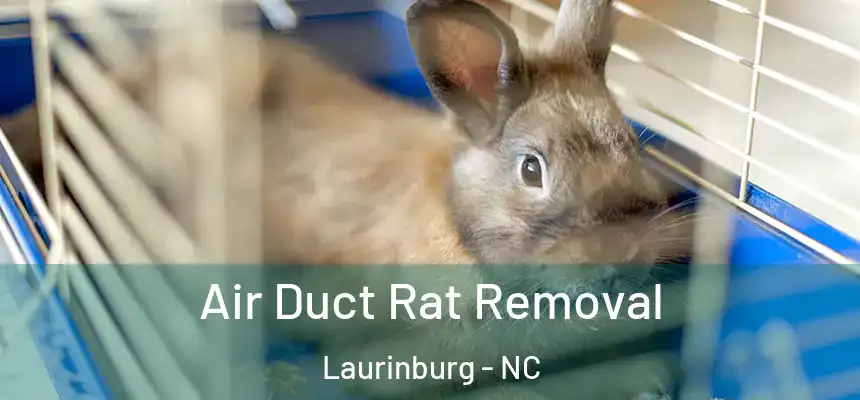  Air Duct Rat Removal Laurinburg - NC