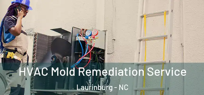  HVAC Mold Remediation Service Laurinburg - NC