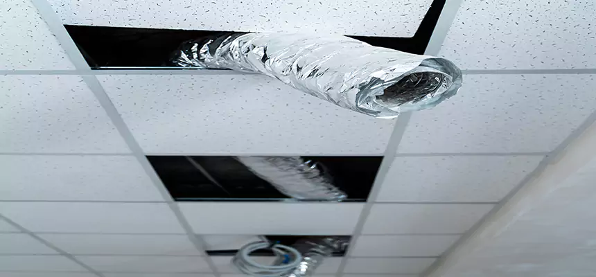 Affordable HVAC Sanitizing After Pest Removal in Laurinburg