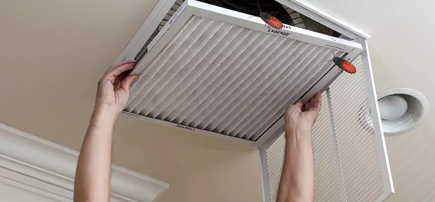 Our Insect Removal from Air Ducts Services in Laurinburg, NC