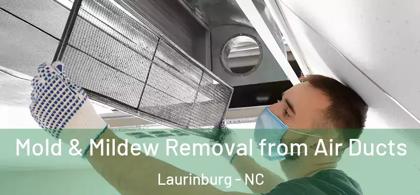  Mold & Mildew Removal from Air Ducts Laurinburg - NC