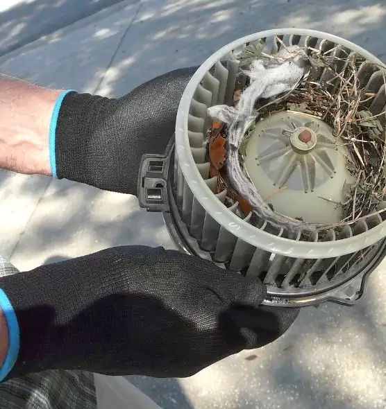 About Air Duct Mice Removal in Laurinburg, NC