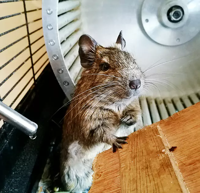 Why Homeowners & Businesses Trust Us Laurinburg, NC